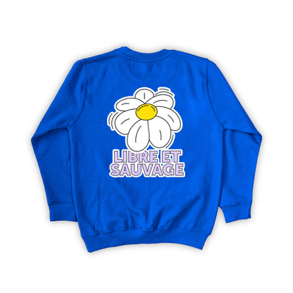 PULL LIBRE ET SAUVAGE