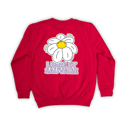 PULL LIBRE ET SAUVAGE